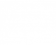 Logo_Tressini-weiss
